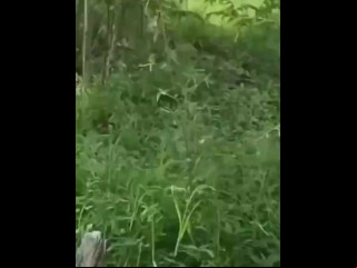 户外自慰